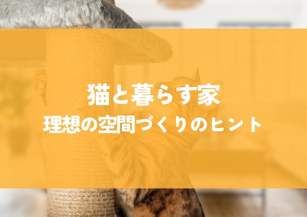 猫と暮らす家を注文住宅で叶える！理想の空間づくりのヒント